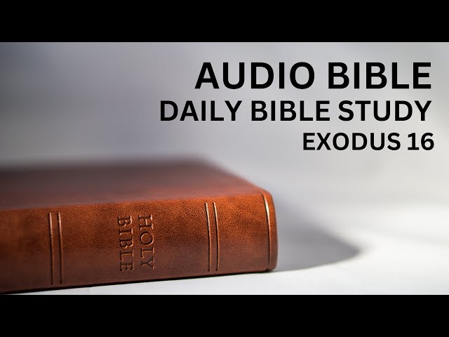 Daily Bible Study: Book of Exodus: Chapter 16: Manna and Quail from Heaven