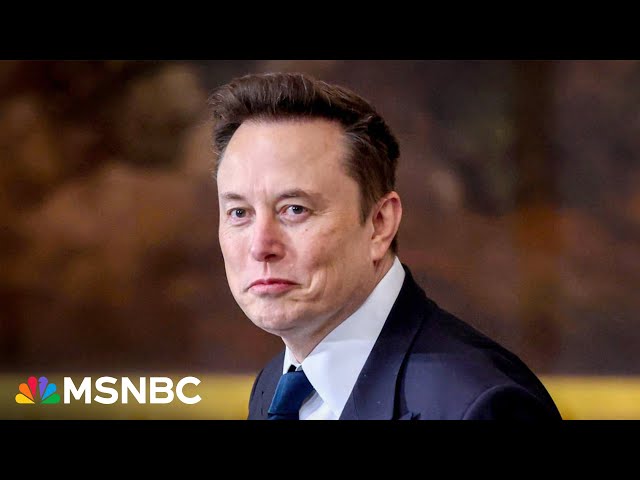 Musk’s 25-year-old DOGE staffer resigns after racist posts emerge: report