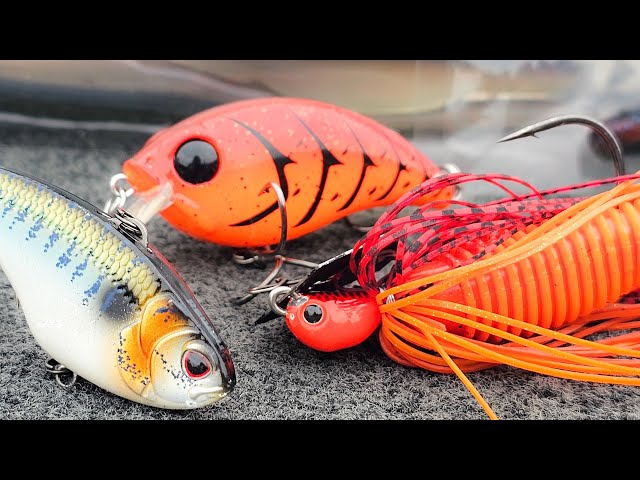 The "Must Have" Baits For Spring Bass Fishing! (Boat And Shore Fishing)