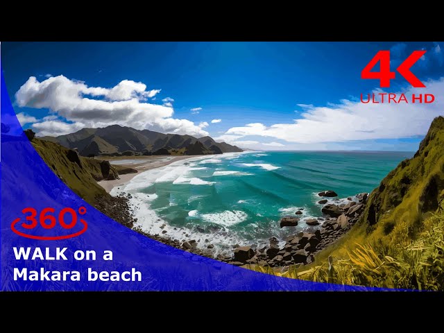 360 VR Walk: Explore Makara Beach and Scenic Coastal Hike with VR