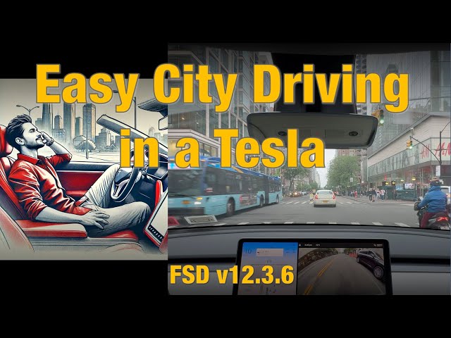 Easy City Driving in Tesla FSD v12.3.6