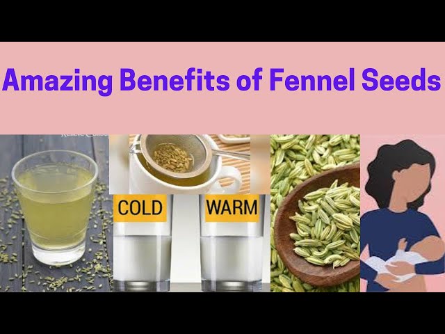 Healthy Benefits of Fennel seeds| Hot Vs cold water| Healthy life Journey by Ainee Waqas