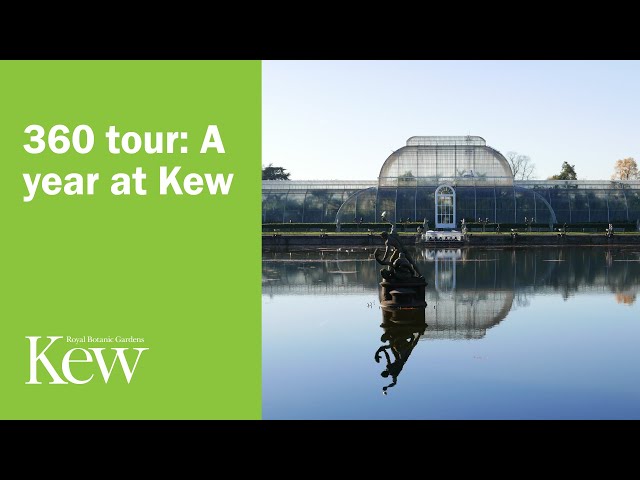 360 tour: A year at Kew