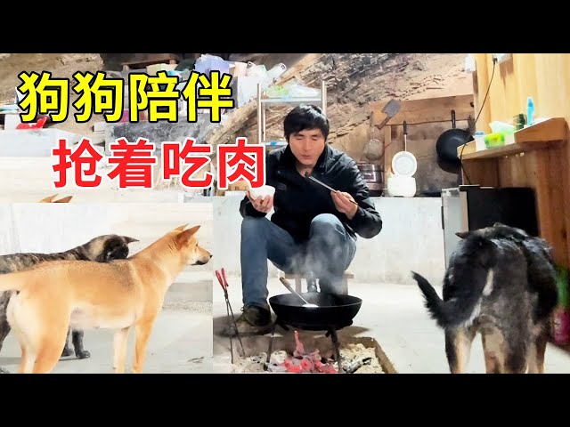 Zhigang returned from a tour of the mountain  cooking fish in the stove to warm himself up. The dog