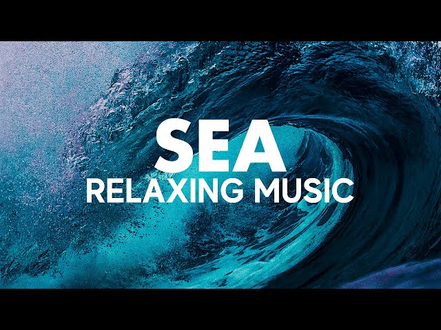 Relaxing Music With Colorful Sea Life Videos & Nature Rare: Meditation Music