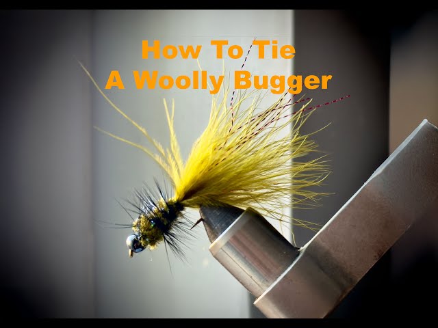 Wooly Bugger: The Ultimate Guide to Tying the MOST Versatile Fly