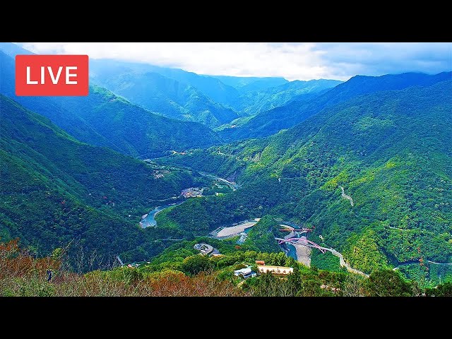 Three Swimming Turtles Live Cam 三龜戲水觀景平台即時影像