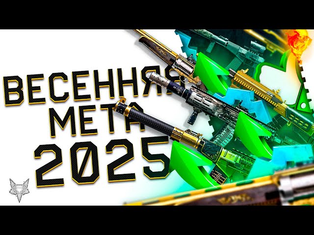 НОВЫЙ ТОП ОРУЖИЯ ВАРФЕЙС ВЕСНОЙ 2025!АП АС ВАЛ,АМБ 17 И САЙГИ 12С!НОВАЯ МЕТА!ЛУЧШИЕ ПУШКИ WARFACE!