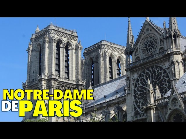 Finally discover the Breathtaking Tour of Notre Dame Cathedral