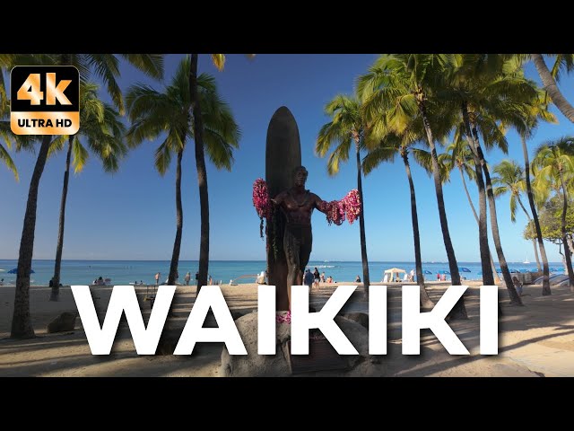 Peaceful Morning Walk in Waikiki: Silent Tour [4K]