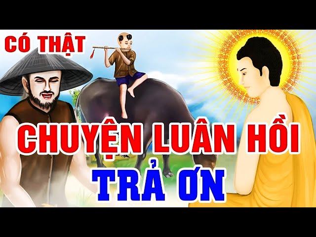 Nhân Quả Có Thật 2024 Hay, Ông Lão Đầu Thai THÀNH TRÂU Đẻ Con TRẢ NỢ ÂN TÌNH | Kể Chuyện Đêm Khuya