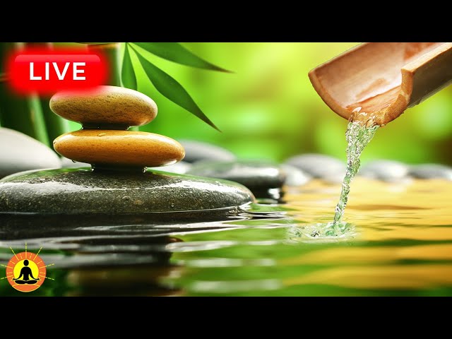 🔴 Relaxing Zen Music 24/7, Healing Music, Meditation Music, Spa Music, Sleep, Zen, Nature Sounds