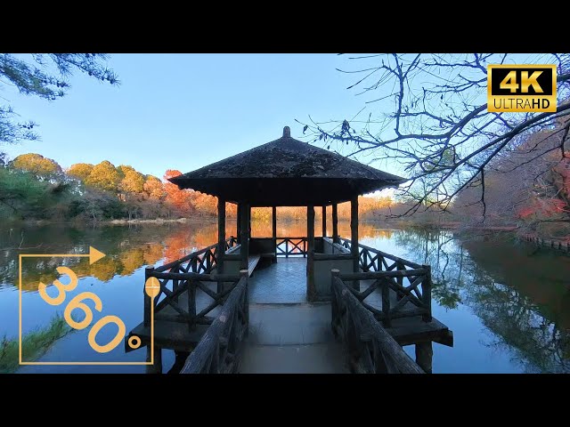 Shakujii-Koen Station, a classy town with rich nature 360°vr video