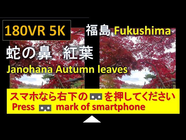 【180VR 5K 】蛇の鼻 紅葉 Janohana Autumn leaves