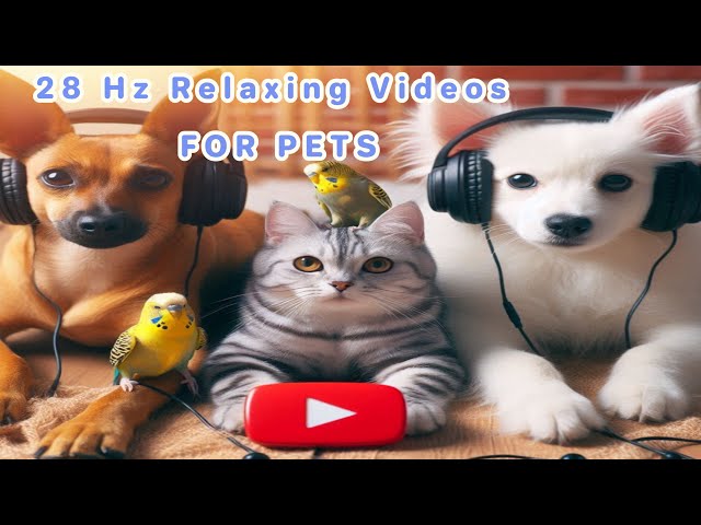 Relaxing 28 Hz Sound Therapy for Pets: Calming Frequency Music for Cats, Dogs To Watch