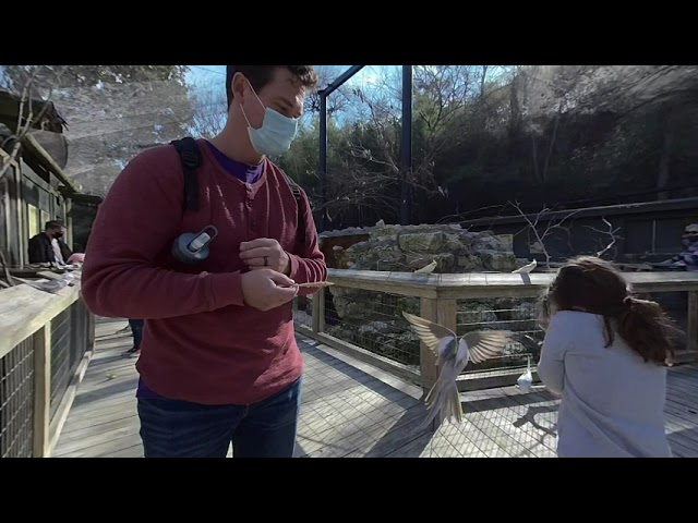 our daughter feeding some various birds in a large cage