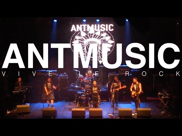 ANTMUSIC   VIVE LE ROCK