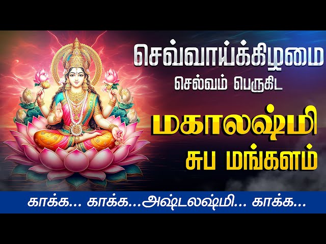 🔴LIVE SONG | வெள்ளிக்கிழமை கேட்க வேண்டிய அஷ்டலஷ்மி சுப மங்களம்  MAHALAKSHMI Kavasam in Tamil Lakshmi