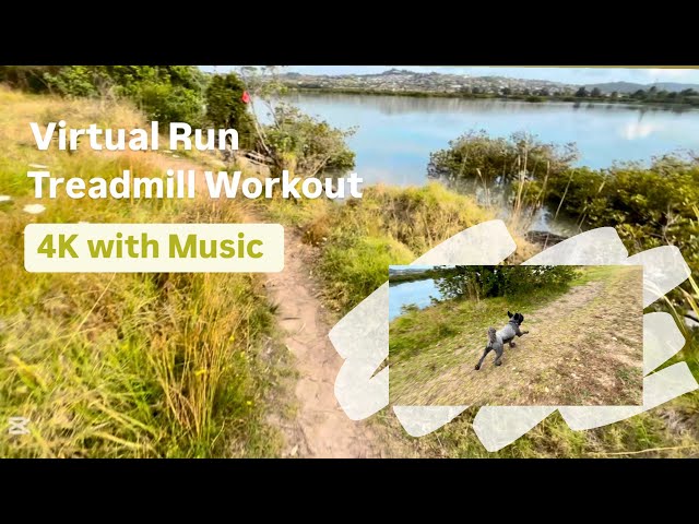 Virtual Run | Treadmill Workout | 4K With Music | NZ | With Dog