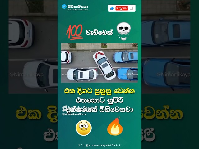 පුහුනුවෙන් දක්ශ මිනිස්සු බිහිකරනවා 💪🔥💀  | Motivation Sinhala Video #motivation #attitude #viral