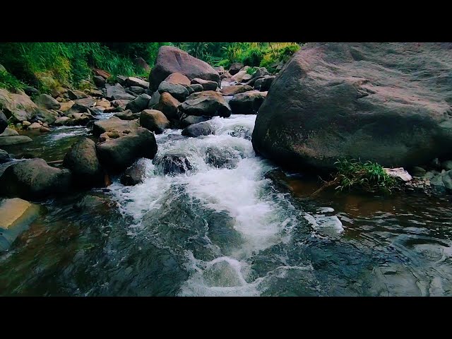 River Sounds For Sleeping - Calming River Water Sounds for Better Sleep and Stress Relief