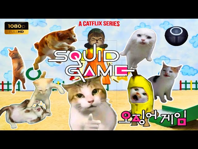 KUCING SQUID GAME ALUR CERITA: Kucing Calico Jadi Juara? Plot Twist😸