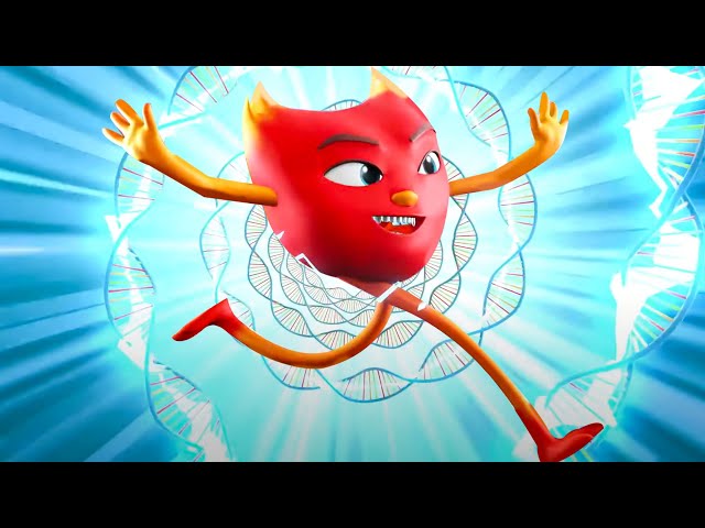 The Speedster Funny Videos + More Funny Cartoon Shows for Kids