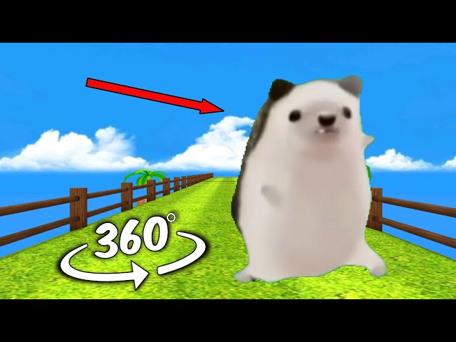 Mother Father Gentleman Hedgehog chase you But it's 360 degree video | Hedgehog dancing meme