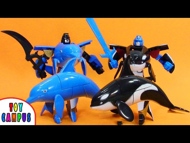 Robot War Dolphin and Killer Whale | Transforming Sea Animal | Bloodthirsty Orca | ToyCampus