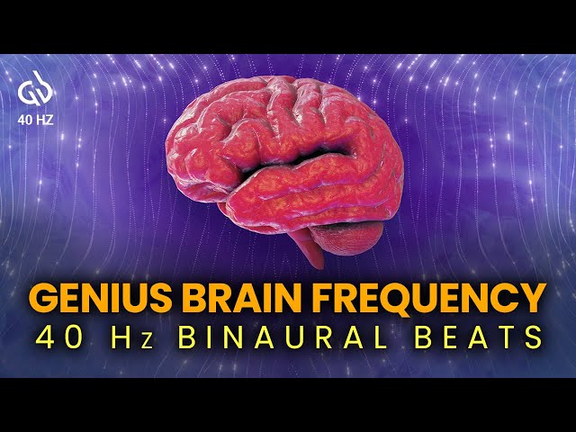 40 Hz Genius Brain Frequency: Binaural Beats for Focus and Productivity