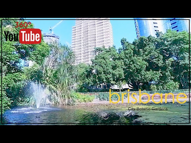 Brisbane Botanic Gardens: 360° Immerse Yourself