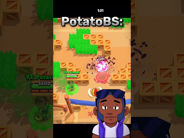 Average PotatoBS Video