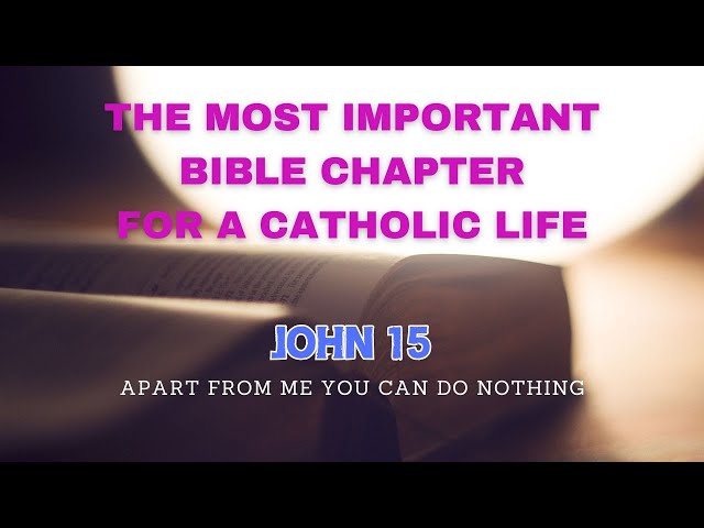 The Most Important Bible Chapter For A Catholic Life ~ John 15 ~ Apart From Me You Can Do Nothing