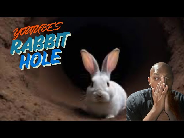 YouTube’s Rabbit hole! DO THIS so you don’t fall in