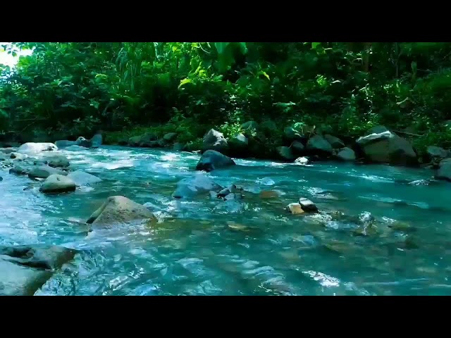 river sounds relaxing water Flowing River Sounds for Peaceful Sleep and Stress Relief