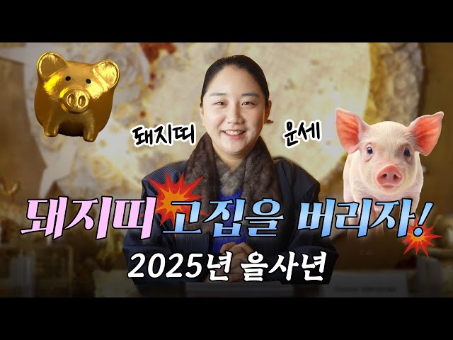 🐷 #돼지띠 ! 고집 좀 버리세요!!! #돼지띠운세 #운세 #띠운세 #사주 [하나보살 010 - 7707 - 7353]