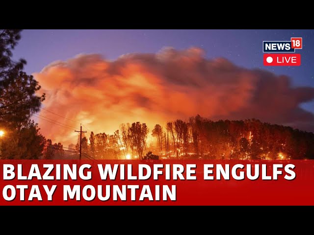 LIVE | Los Angeles Fire | Wind-Stoked Wildfire Erupts in Otay Mountain Area | California Fire | N18G