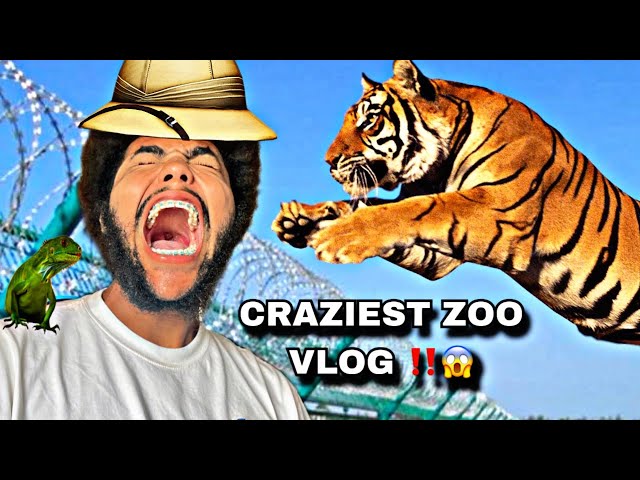 WHAT TO EXPECT ON A FREE DAY AT THE ZOO!