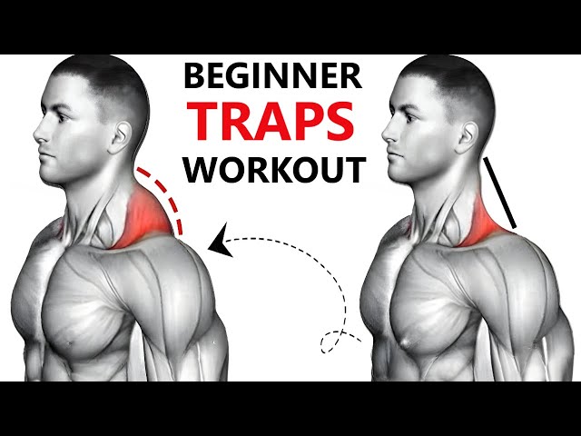 BEGINNER TRAPS WORKOUT  MUSCLE BUILDING WORKOUT  TRAPS WORKOUT AT GYM