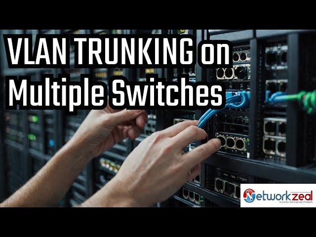 VLAN Trunking Practical on Multiple switch | CCNA Network Zeal