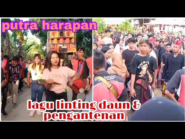 lagu linting daun & pengantenan cover putra harapan || nyongkolan pako ke bumbang