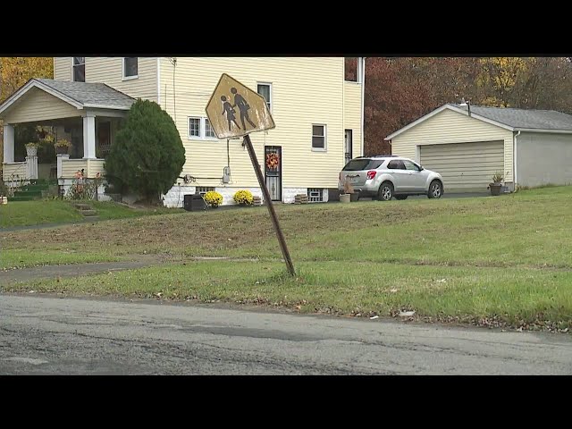 Want property? Mow it to own it in Youngstown