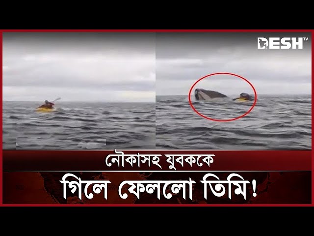 যেভাবে বেঁচে ফিরলেন তিনি, ভিডিও ভাইরাল! | Whale swallows young man with boat | Desh TV