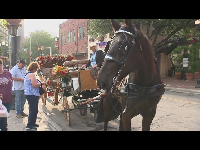 Horse-drawn carriages to phase out after vote by San Antonio leaders