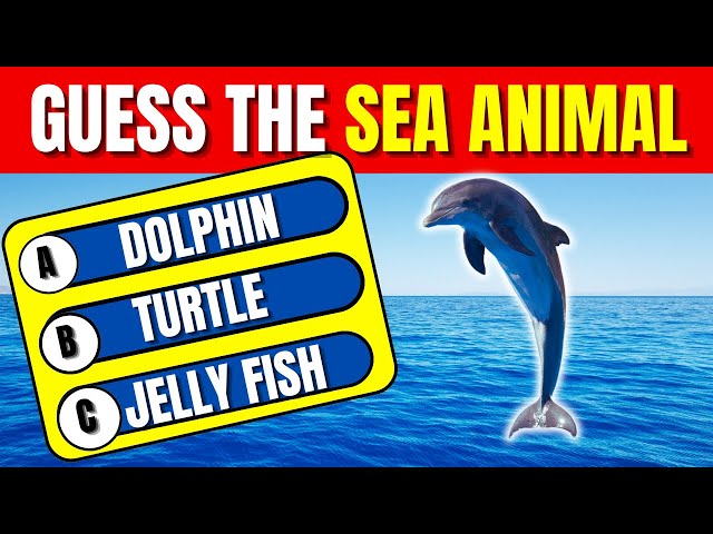 GUESS The Sea Animals Quiz for kids 🐬🦑 |