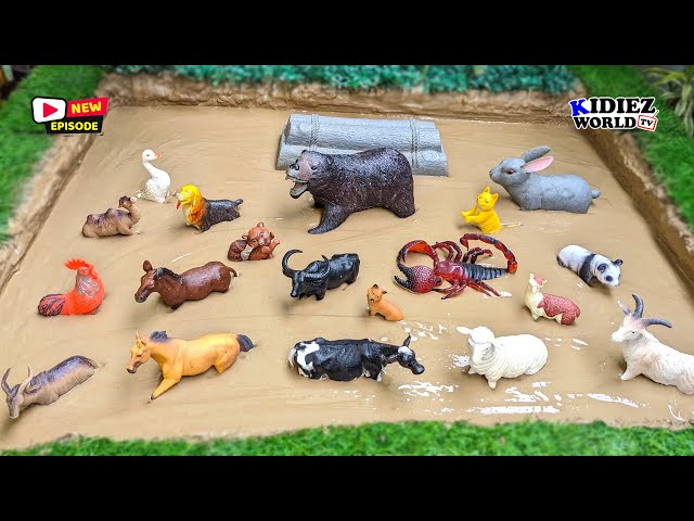 Get Ready for the Wildest Muddy Adventure with Your Pet Animals and Farm Friends!