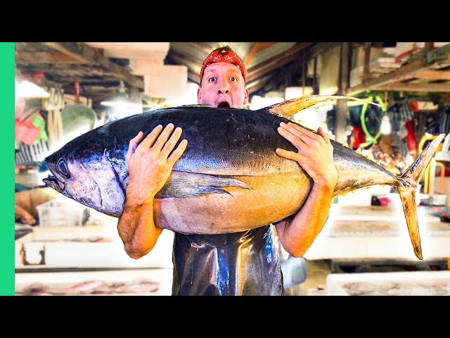 Filipino Seafood Tour! The Real King of Tuna in Mindanao!