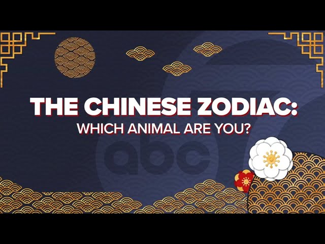 Chinese zodiac symbols: What's your sign and what does it mean?