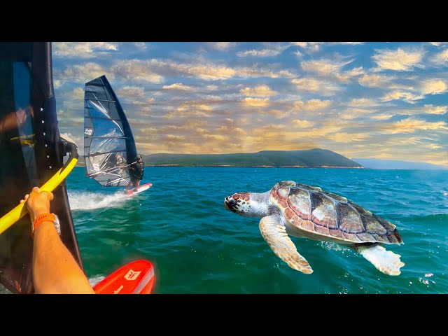 We went SLALOM WINDSURFING in between TURTLES and fishernets