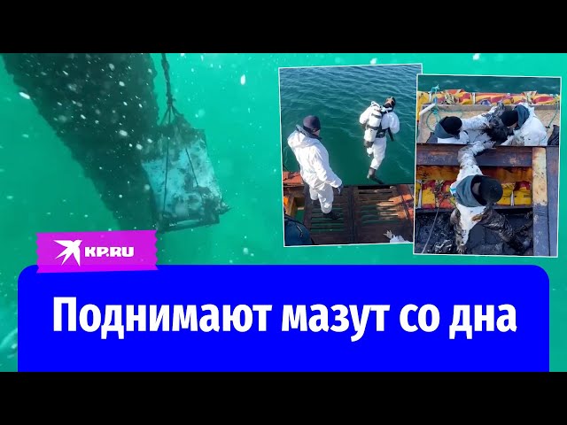 Спасатели продолжают очищать Чёрное море от мазута